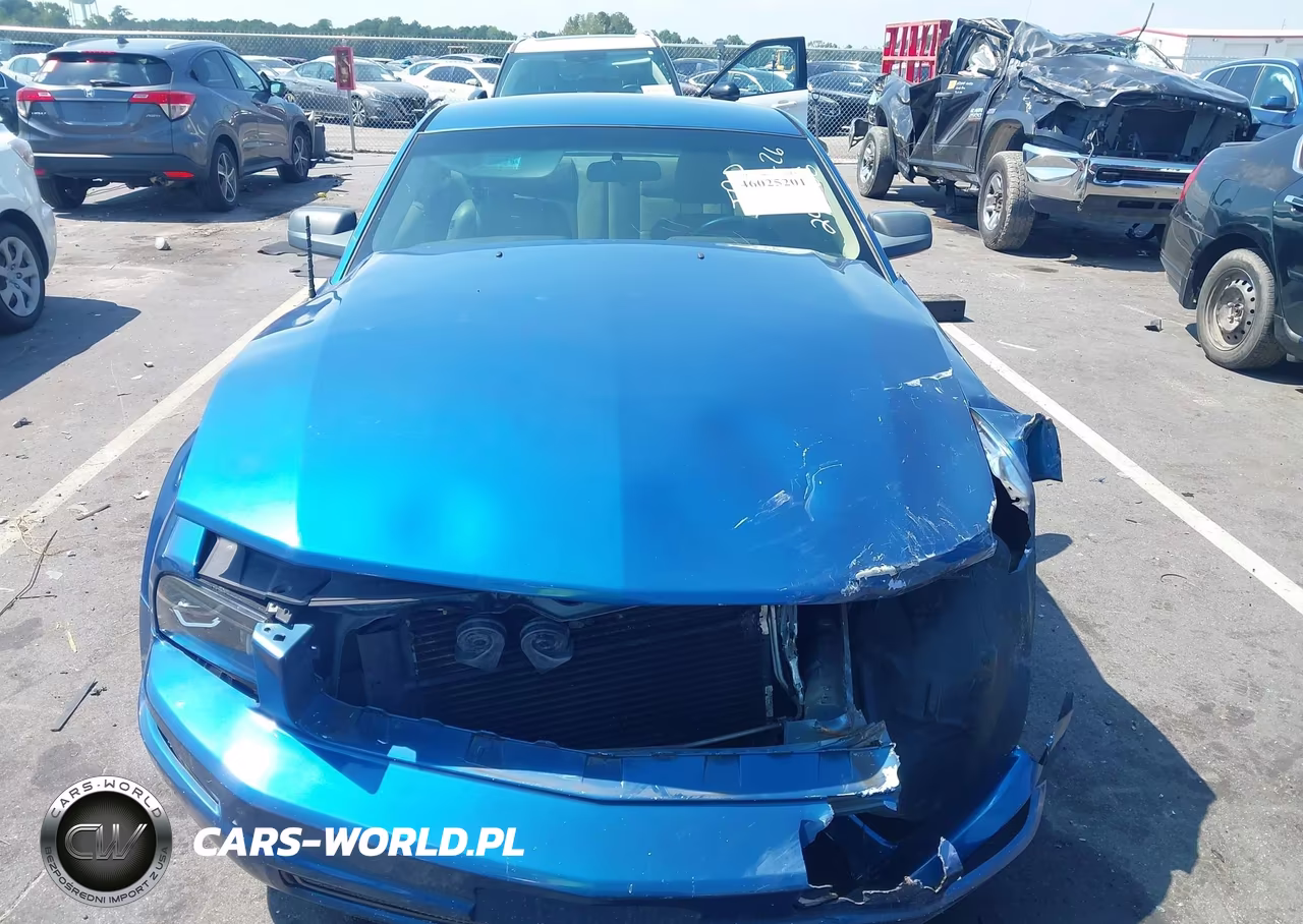 2005 Ford Mustang V6 Deluxe-V6 Premium VIN:1ZVHT80N455248666 - 13