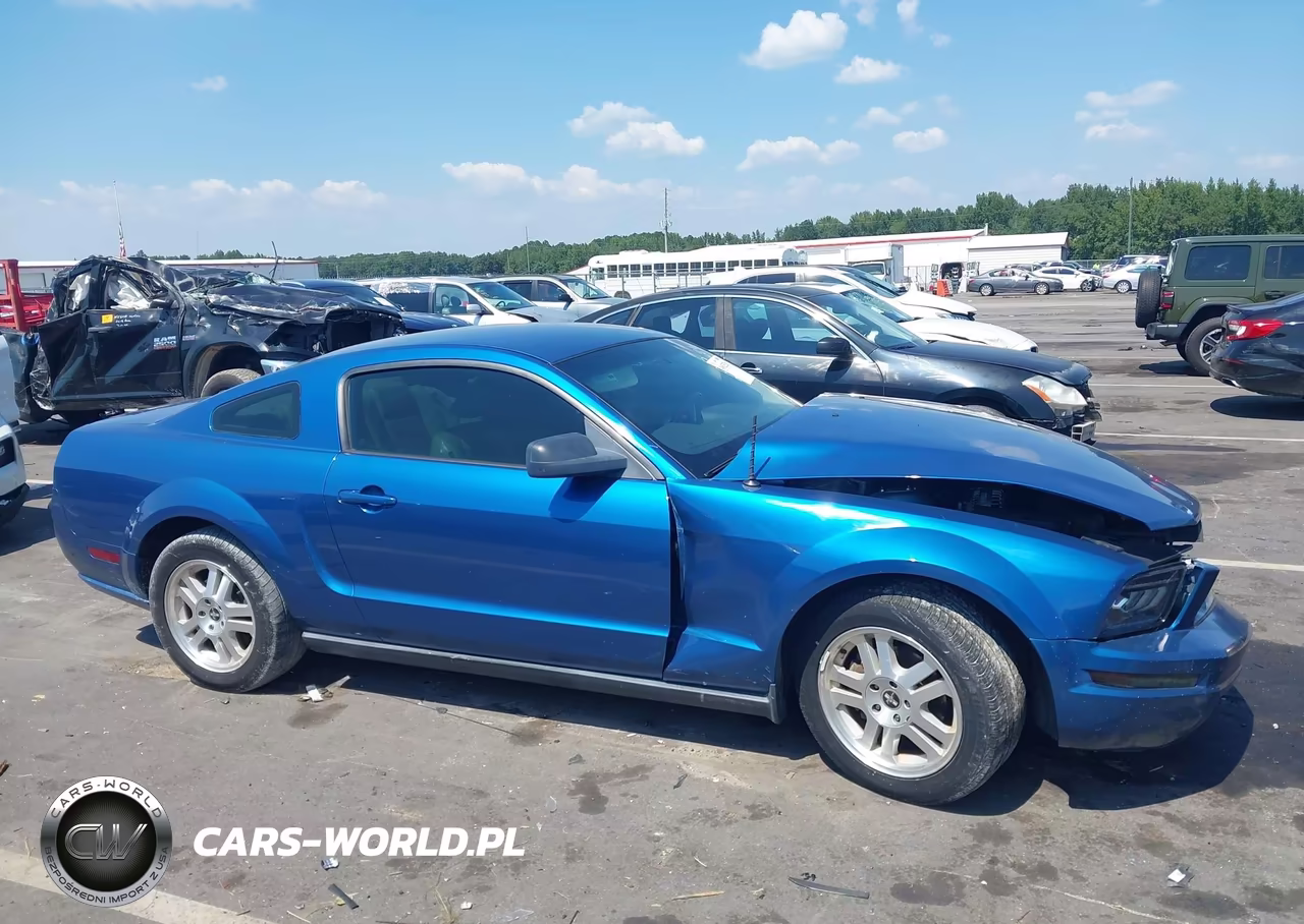 2005 Ford Mustang V6 Deluxe-V6 Premium VIN:1ZVHT80N455248666 - 14