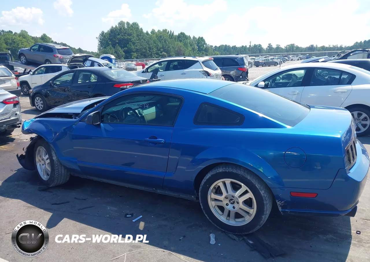 2005 Ford Mustang V6 Deluxe-V6 Premium VIN:1ZVHT80N455248666 - 15