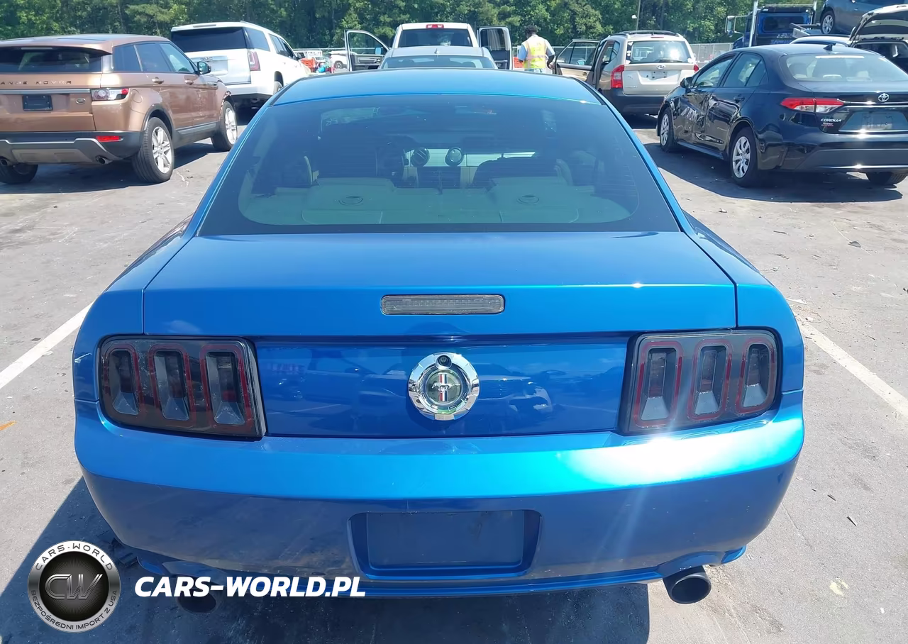 2005 Ford Mustang V6 Deluxe-V6 Premium VIN:1ZVHT80N455248666 - 17