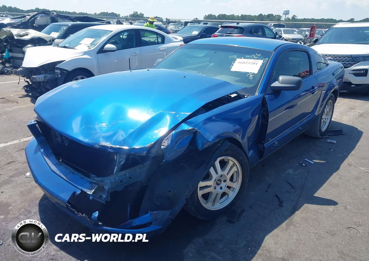 2005 Ford Mustang V6 Deluxe-V6 Premium VIN:1ZVHT80N455248666 - 2