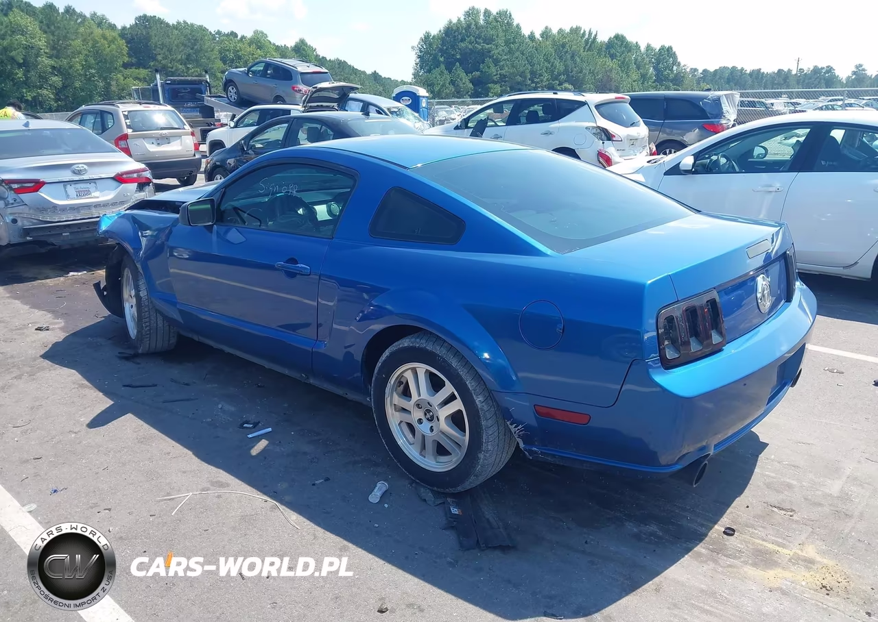 2005 Ford Mustang V6 Deluxe-V6 Premium VIN:1ZVHT80N455248666 - 3