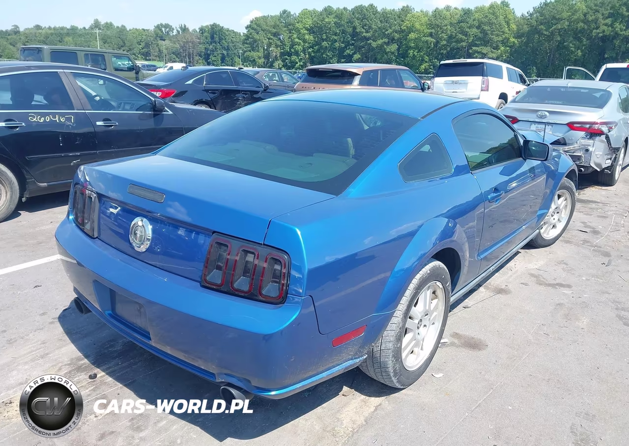 2005 Ford Mustang V6 Deluxe-V6 Premium VIN:1ZVHT80N455248666 - 4