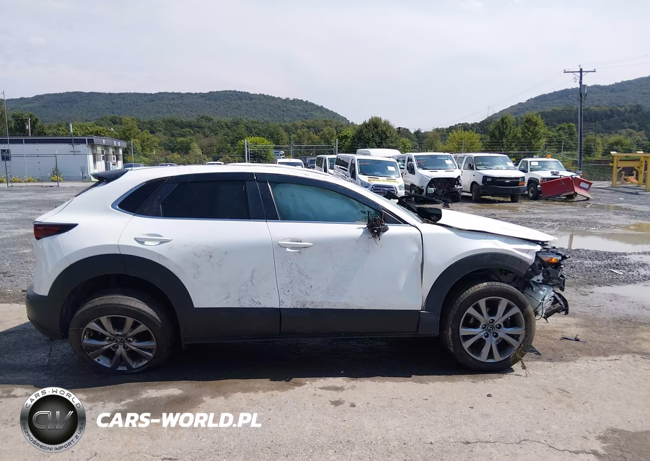 2020 Mazda Cx-30 Preferred Package VIN:3MVDMBDL2LM107234 - 12