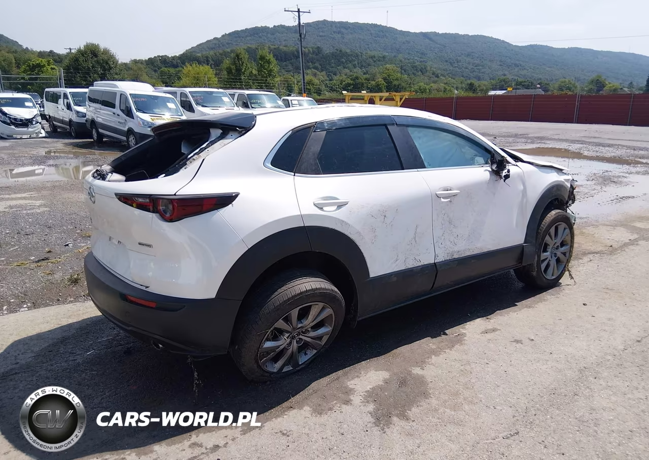 2020 Mazda Cx-30 Preferred Package VIN:3MVDMBDL2LM107234 - 4