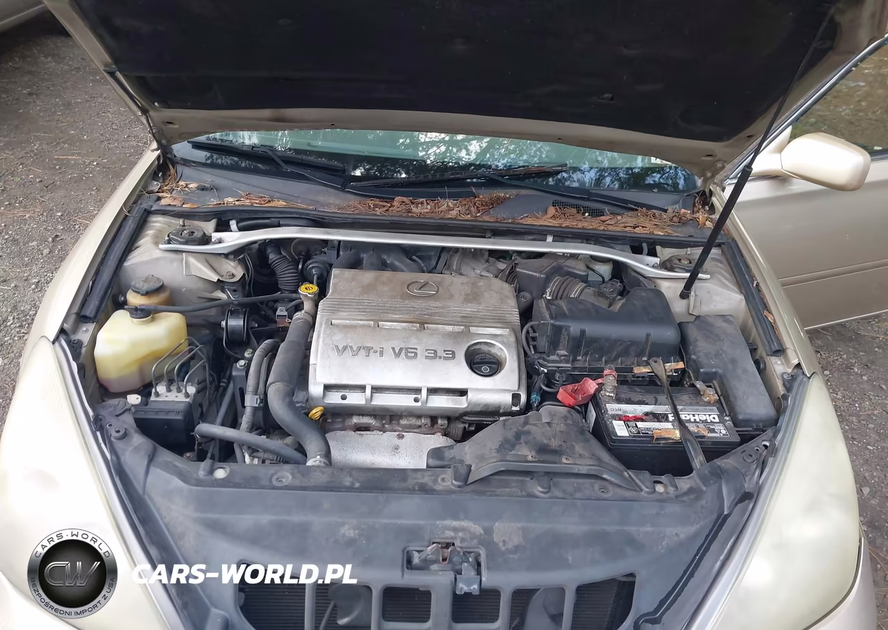 2004 Lexus Es 330 VIN:JTHBA30G540013884 - 10