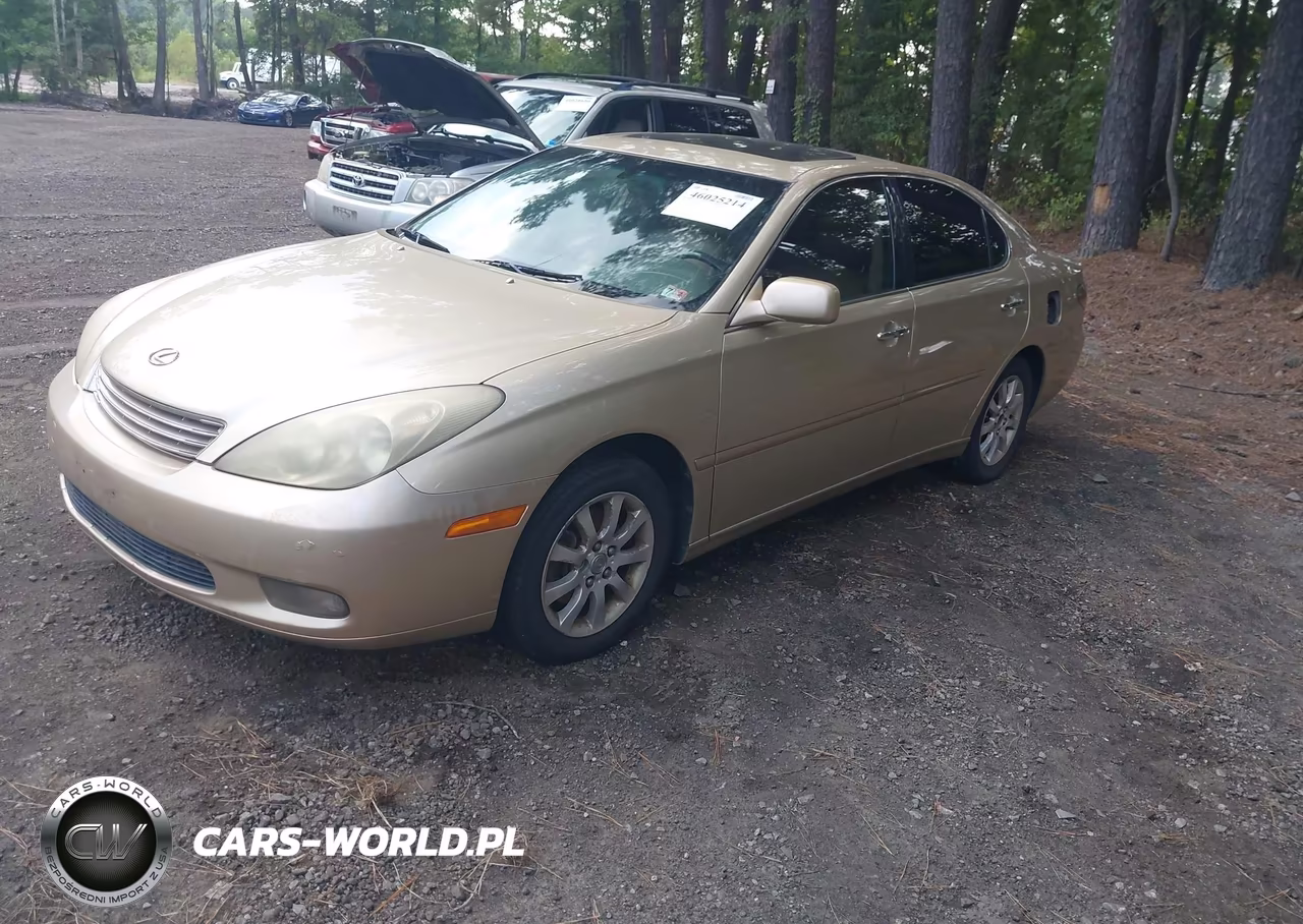 2004 Lexus Es 330 VIN:JTHBA30G540013884 - 2