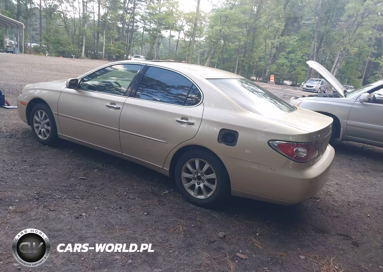 2004 Lexus Es 330 VIN:JTHBA30G540013884 - 3