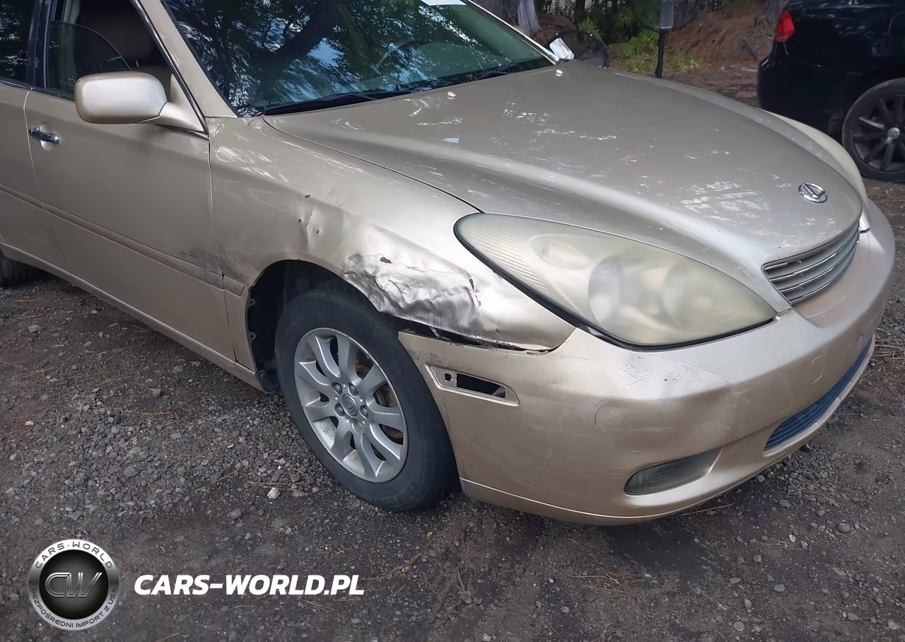 2004 Lexus Es 330 VIN:JTHBA30G540013884 - 6