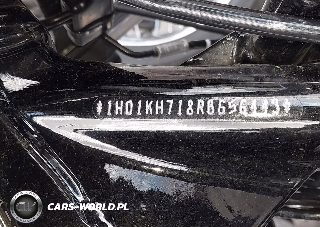 2024 Harley-Davidson Fltrx VIN:1HD1KH718RB656443 - 10