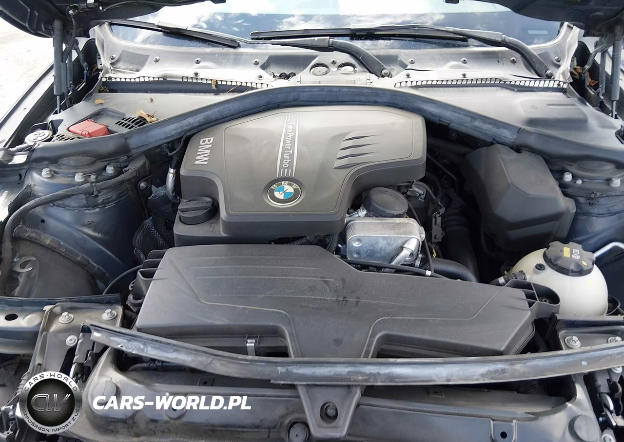 2015 BMW 428 Gran Coupe VIN:WBA4A9C58FGL86271 - 10