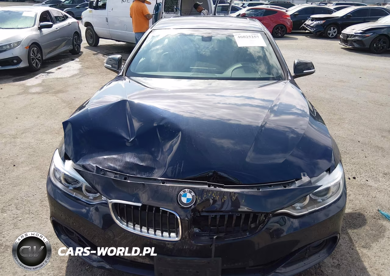 2015 BMW 428 Gran Coupe VIN:WBA4A9C58FGL86271 - 12