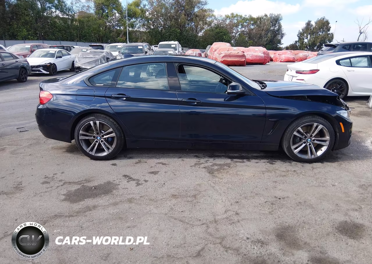 2015 BMW 428 Gran Coupe VIN:WBA4A9C58FGL86271 - 13