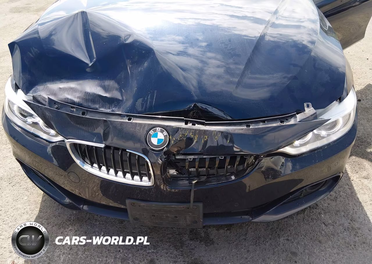 2015 BMW 428 Gran Coupe VIN:WBA4A9C58FGL86271 - 6