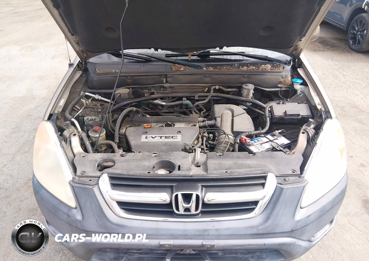 2004 Honda Cr-V Ex VIN:SHSRD78804U221886 - 10