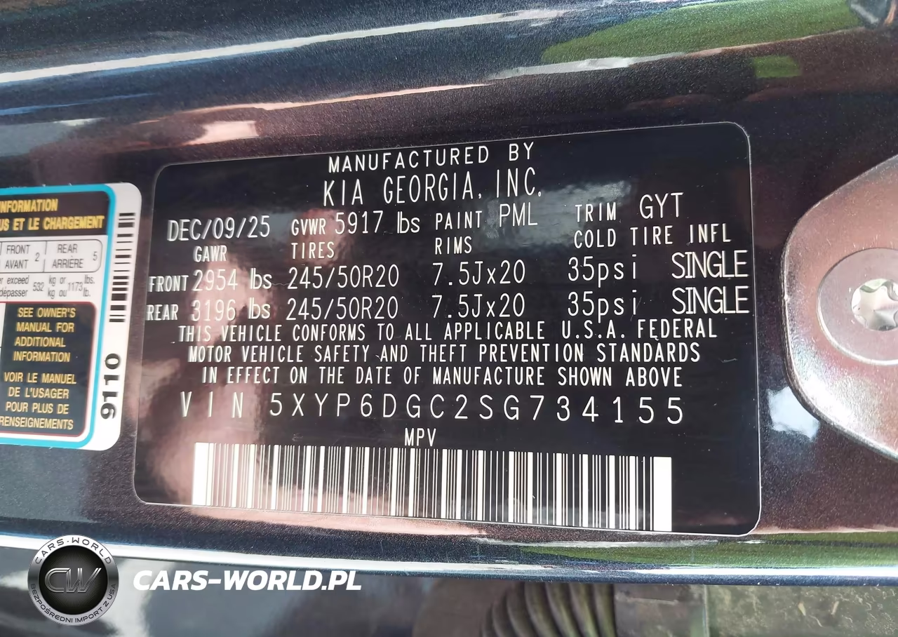 2025 Kia Telluride S VIN:5XYP6DGC2SG734155 - 9