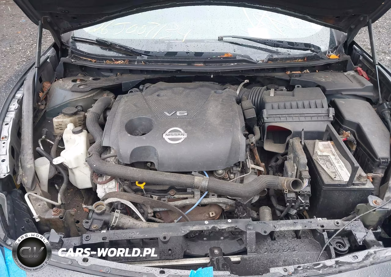 2011 Nissan Maxima 3.5 Sv VIN:1N4AA5AP4BC817070 - 10