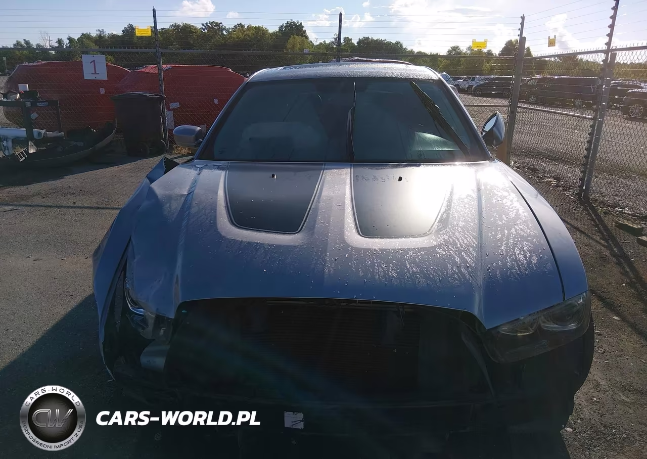 2014 Dodge Charger Road-Track VIN:2C3CDXCT3EH155133 - 13