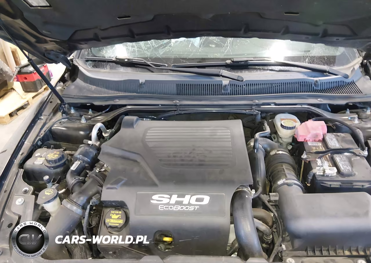 2013 Ford Taurus Sho VIN:1FAHP2KT0DG172145 - 10