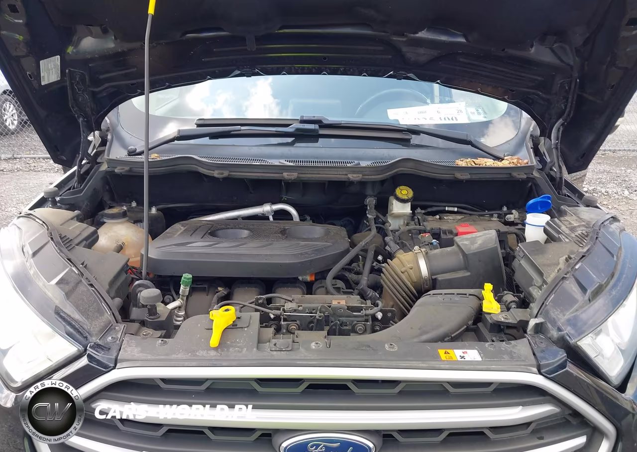 2019 Ford Ecosport Se VIN:MAJ6S3GL4KC265937 - 10