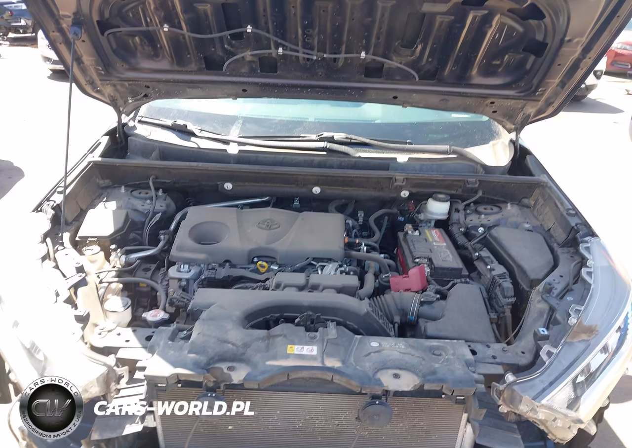 2019 Toyota Rav4 Limited VIN:JTMN1RFV7KD522615 - 10
