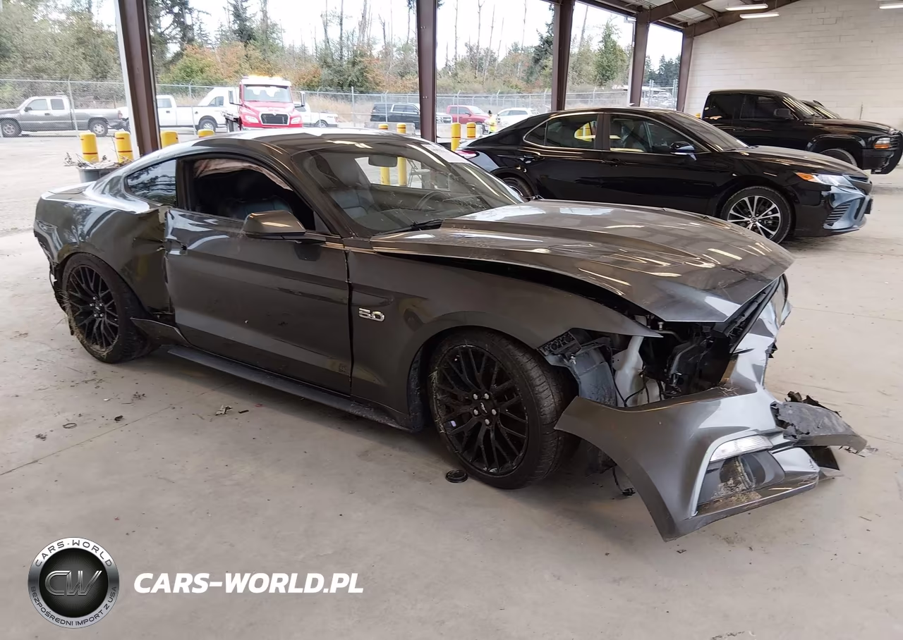 2017 Ford Mustang Gt Premium VIN:1FA6P8CF1H5281671 - 1