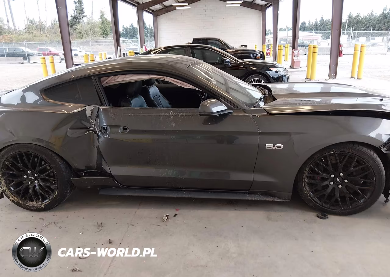 2017 Ford Mustang Gt Premium VIN:1FA6P8CF1H5281671 - 13