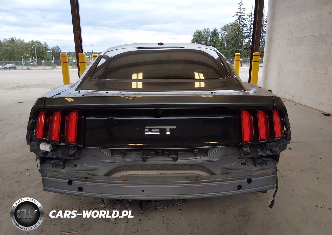 2017 Ford Mustang Gt Premium VIN:1FA6P8CF1H5281671 - 16