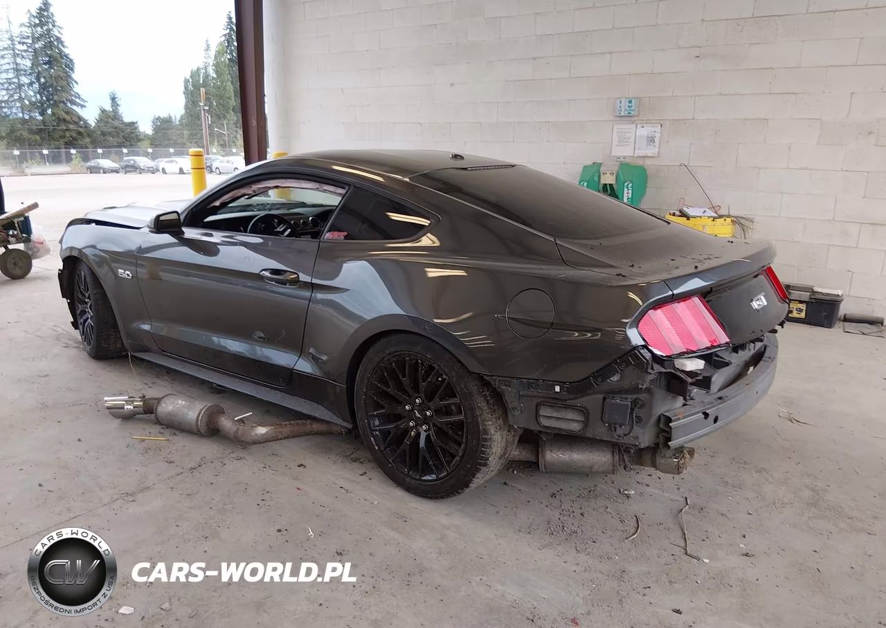 2017 Ford Mustang Gt Premium VIN:1FA6P8CF1H5281671 - 3