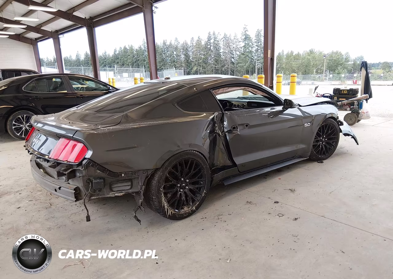 2017 Ford Mustang Gt Premium VIN:1FA6P8CF1H5281671 - 4