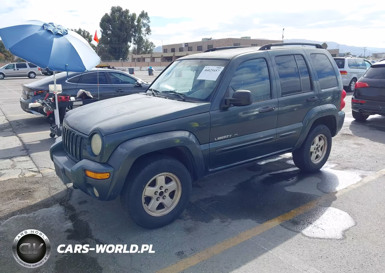 2002 Jeep Liberty Limited Edition VIN:1J8GL58K82W195184 - 2