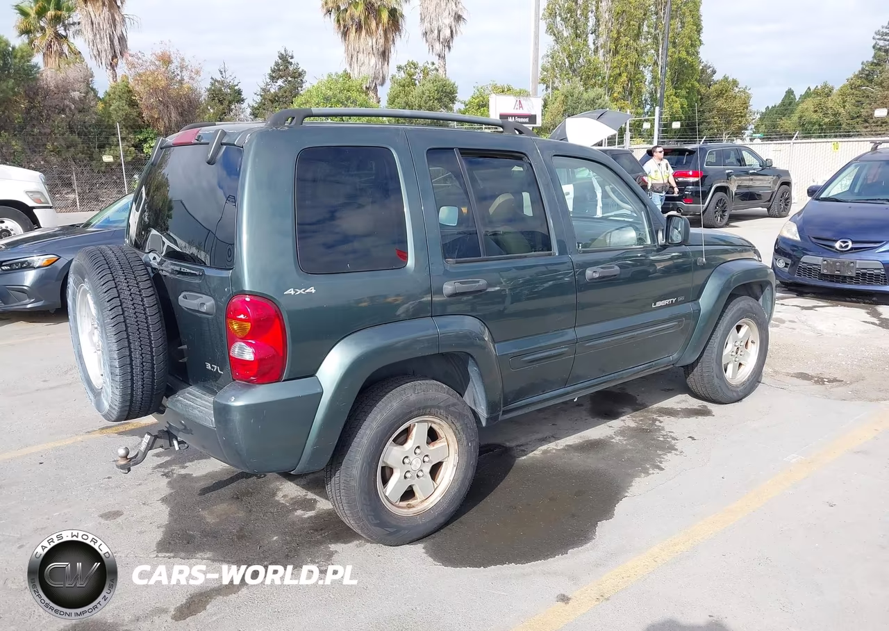 2002 Jeep Liberty Limited Edition VIN:1J8GL58K82W195184 - 4