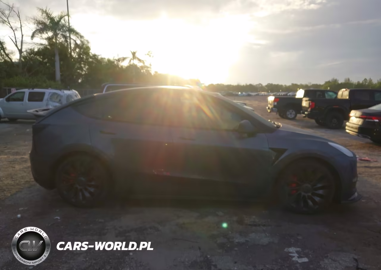 2022 Tesla Model Y Performance Dual Motor All-Wheel Drive VIN:7SAYGDEF8NF336736 - 12