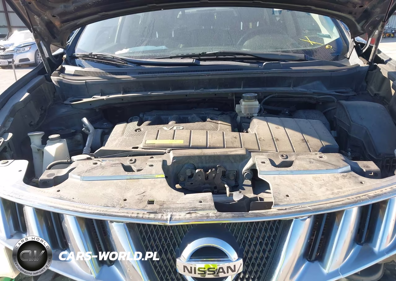 2010 Nissan Murano Sl VIN:JN8AZ1MW1AW102960 - 10