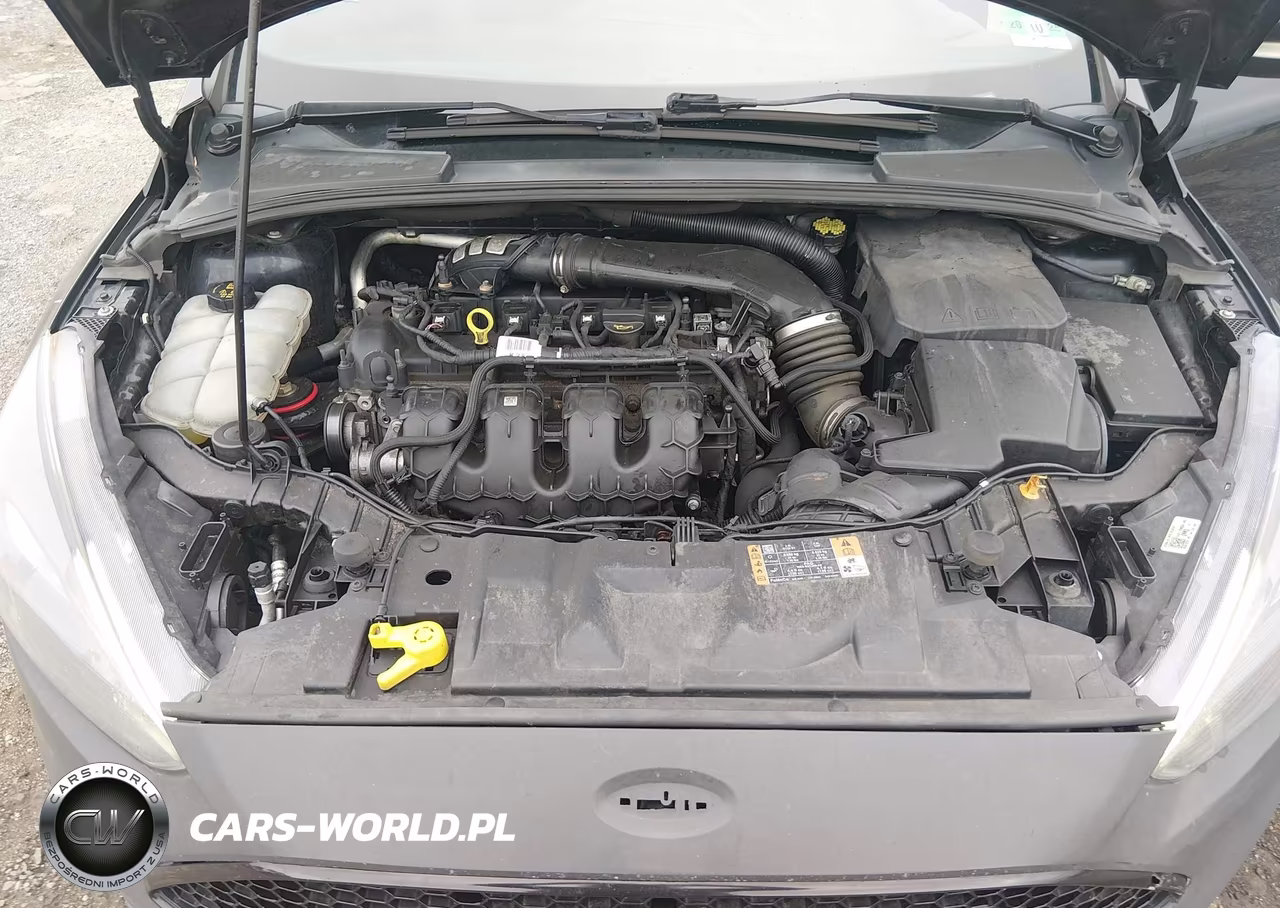 2018 Ford Focus St VIN:1FADP3L9XJL298264 - 10