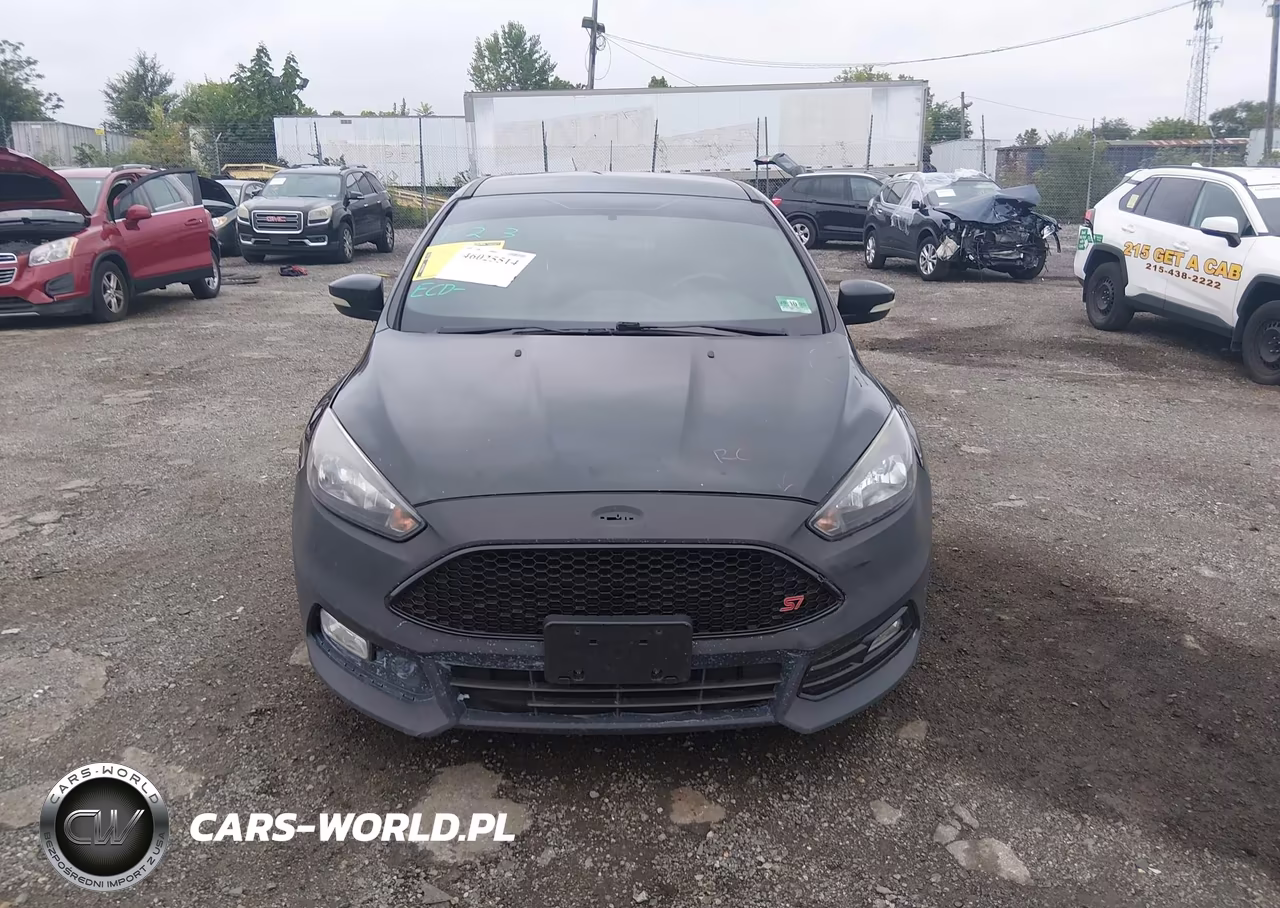 2018 Ford Focus St VIN:1FADP3L9XJL298264 - 12