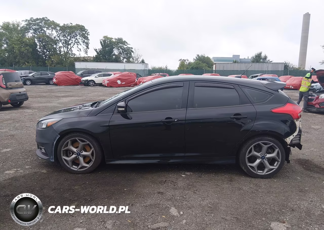 2018 Ford Focus St VIN:1FADP3L9XJL298264 - 14