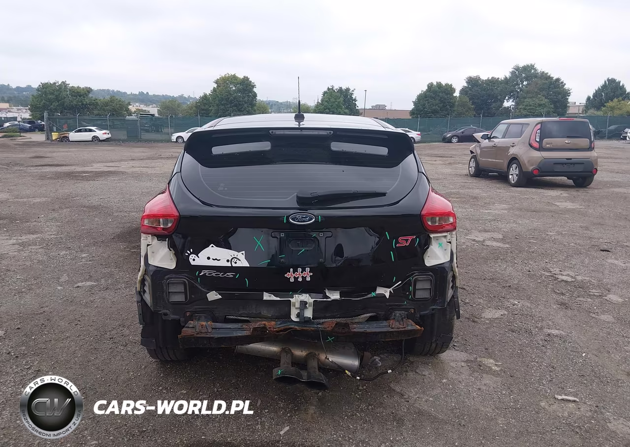 2018 Ford Focus St VIN:1FADP3L9XJL298264 - 16