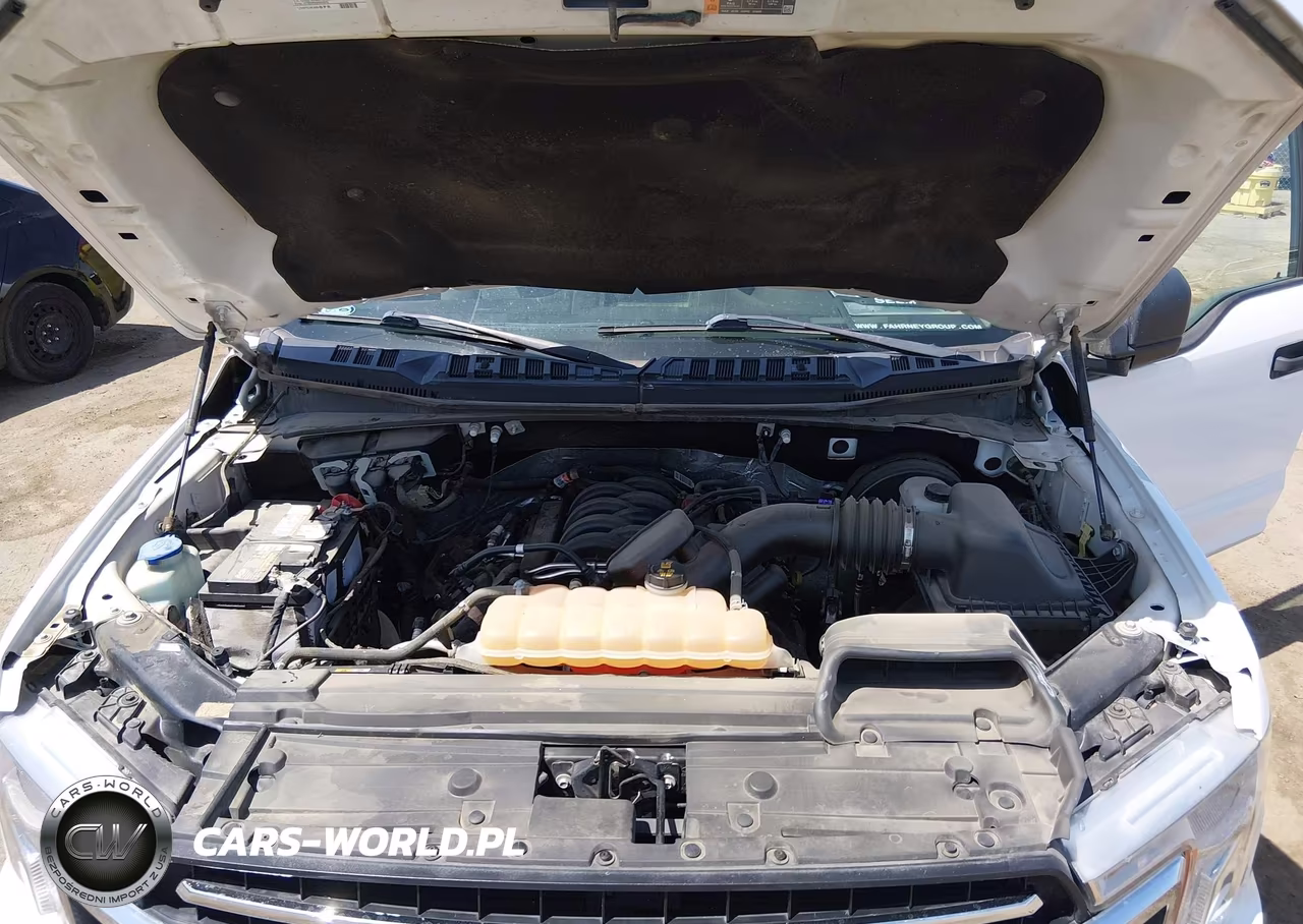 2019 Ford F-150 Xlt VIN:1FTEW1C5XKKC39659 - 10