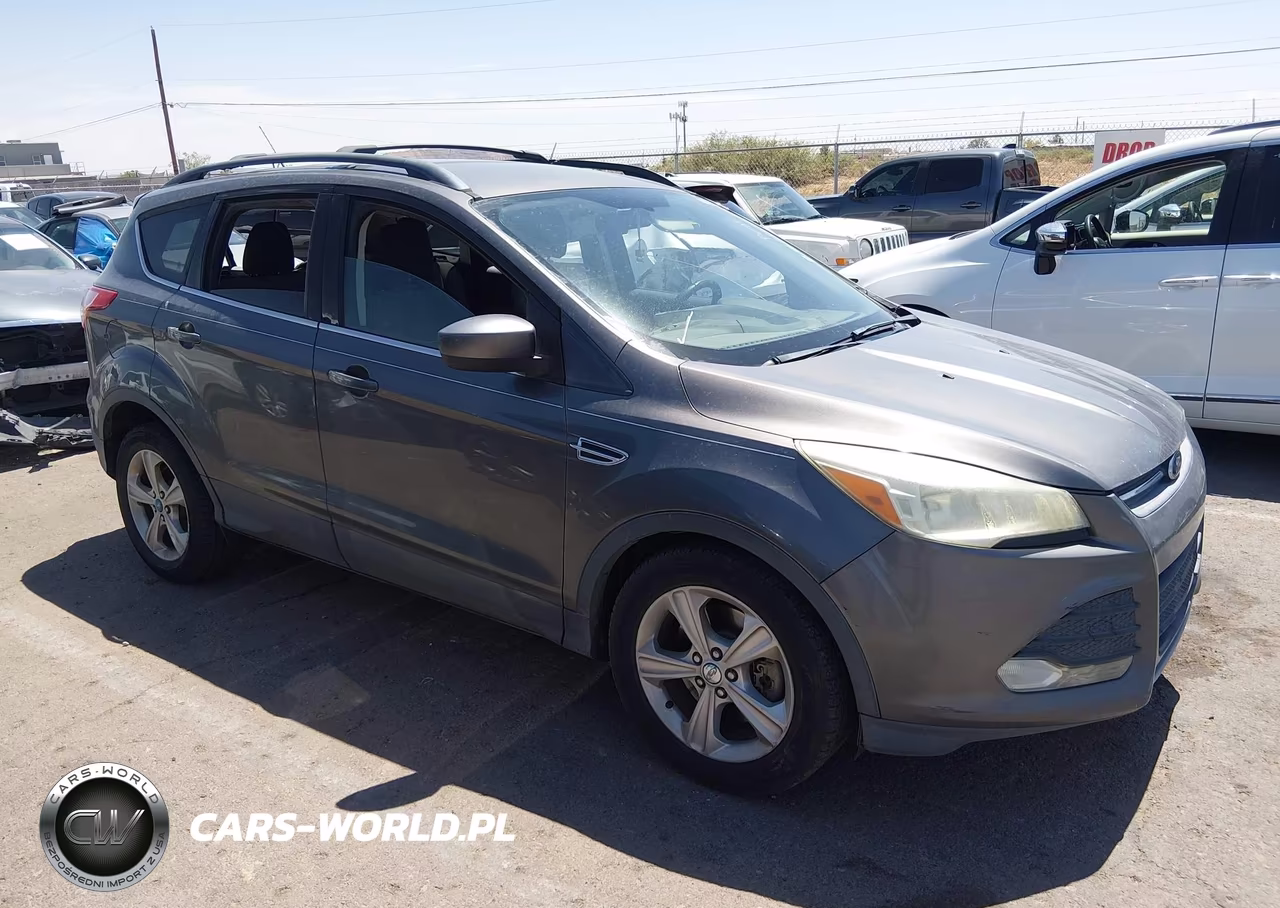 2013 Ford Escape Se VIN:1FMCU0G94DUC13775 - 13