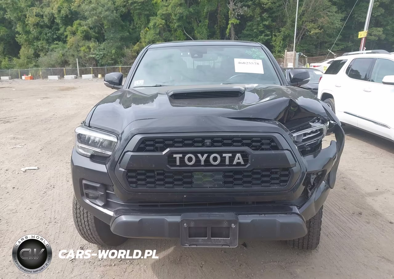 2022 Toyota Tacoma Trd Pro VIN:3TYCZ5AN0NT071766 - 12