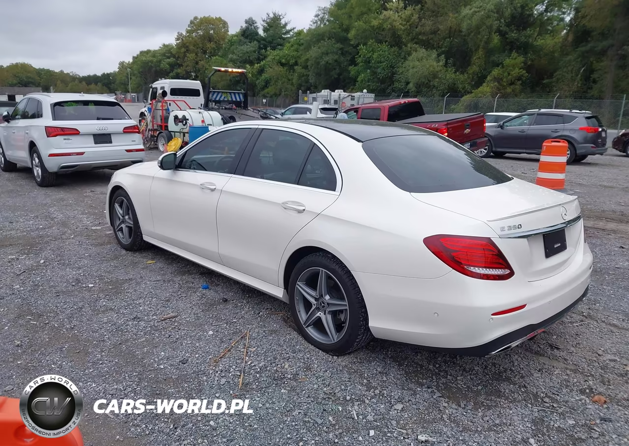 2020 Mercedes-Benz E 350 VIN:WDDZF8DB9LA700829 - 3