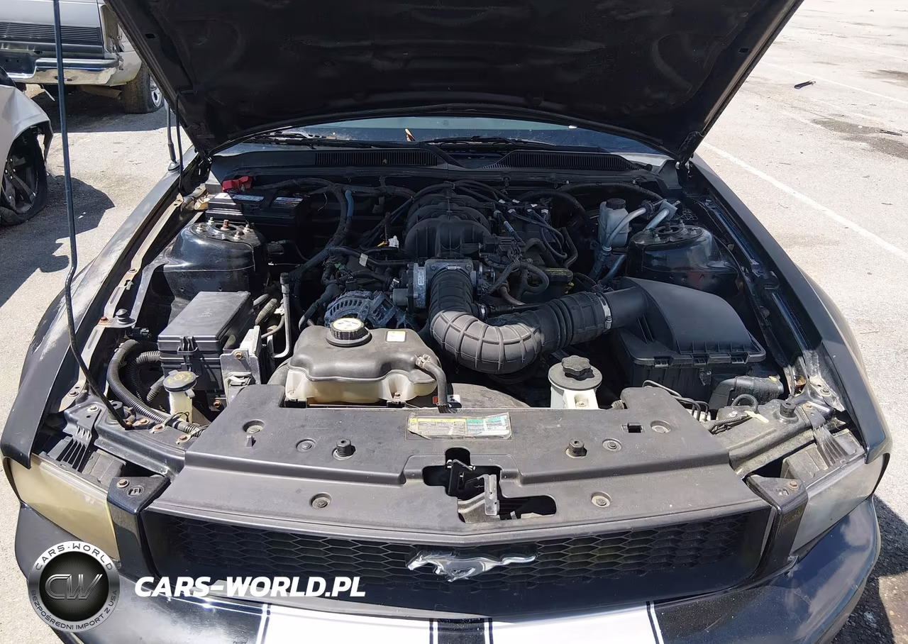 2009 Ford Mustang V6-V6 Premium VIN:1ZVHT84NX95115944 - 10