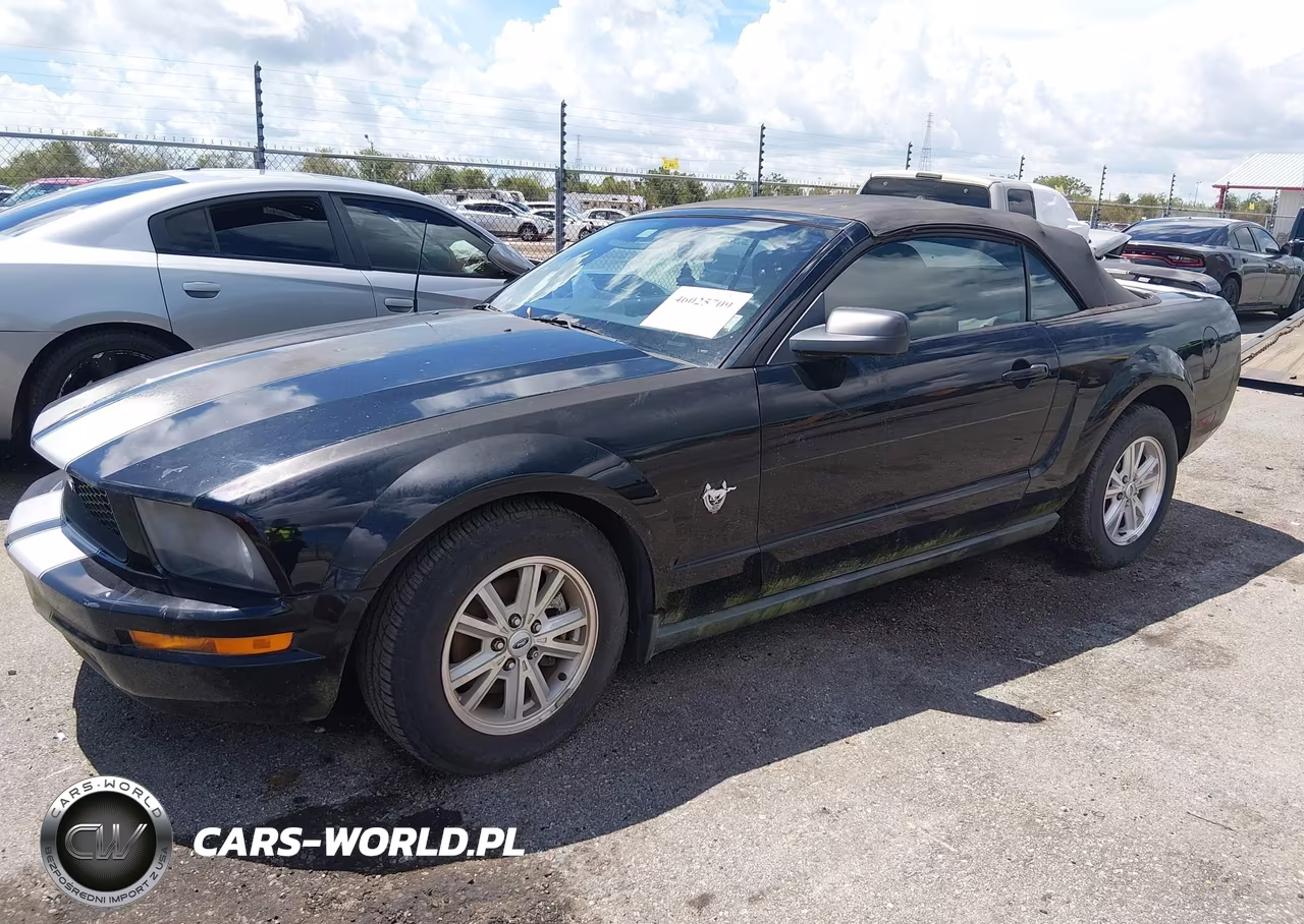 2009 Ford Mustang V6-V6 Premium VIN:1ZVHT84NX95115944 - 2