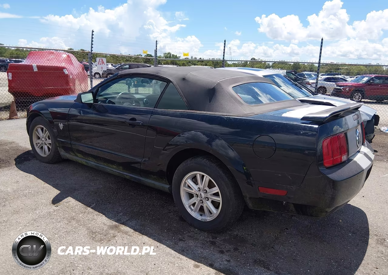 2009 Ford Mustang V6-V6 Premium VIN:1ZVHT84NX95115944 - 3