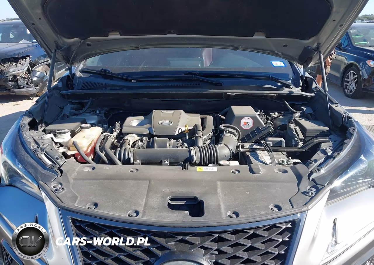 2018 Lexus Nx 300 F Sport VIN:JTJBARBZ7J2155069 - 10