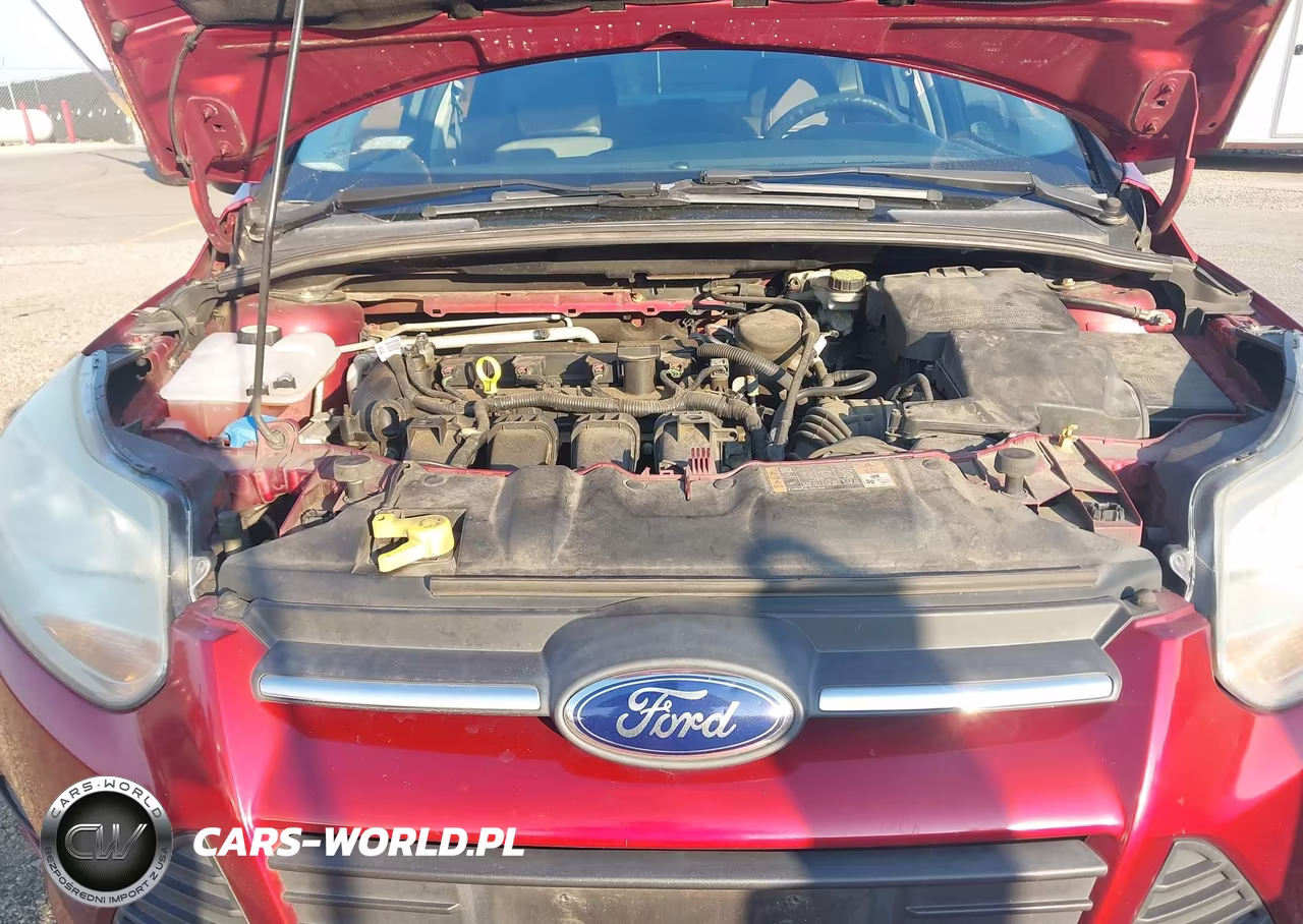 2014 Ford Focus Se VIN:1FADP3F26EL315730 - 10
