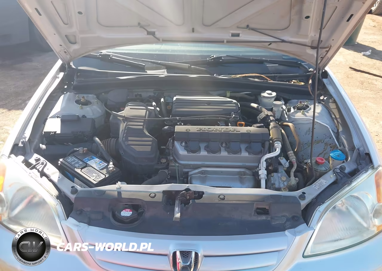 2003 Honda Civic Lx VIN:1HGES15513L005805 - 10