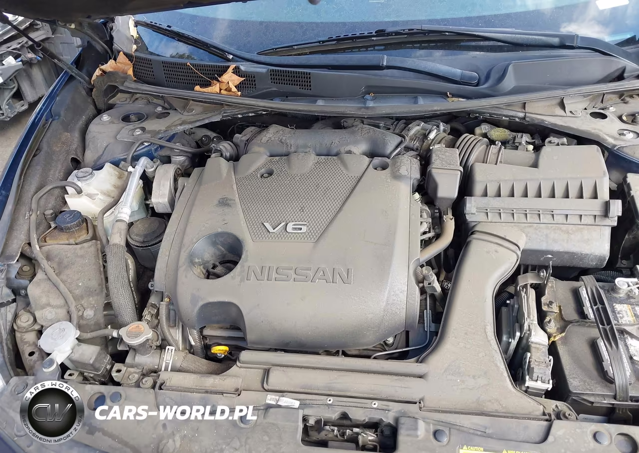 2016 Nissan Maxima 3.5 Platinum VIN:1N4AA6AP5GC420108 - 10