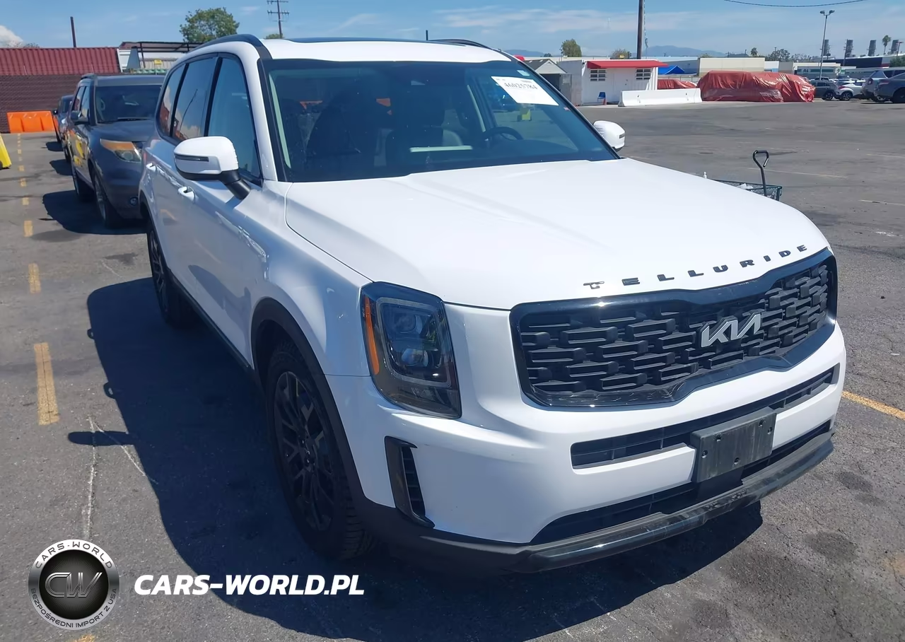 2022 Kia Telluride Ex VIN:5XYP3DHC4NG319799 - 1